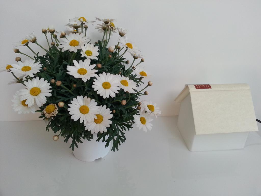 Nocleg ze śniadaniem Alta